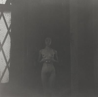 dark black and white image of a nude woman holding a camera in front of her belly; panel of chicken wire glass at left with diamond-shaped lattice on top of it; received in silver frame